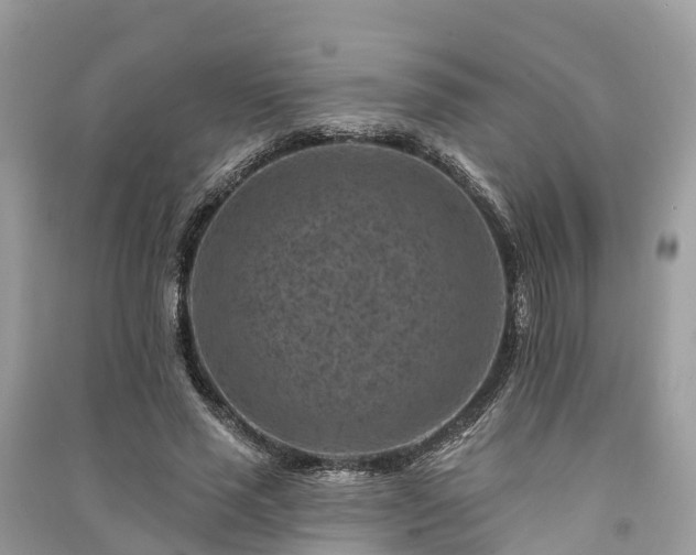 X0000091000637200708091540