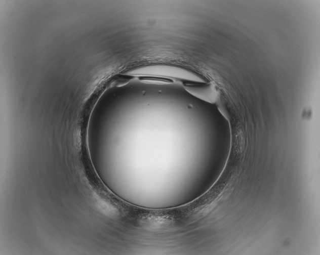 X0000091000638200708091540