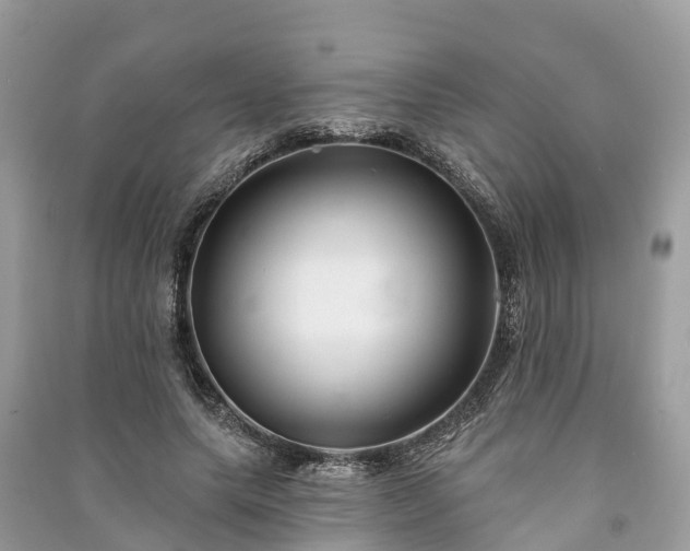 X0000091000639200708091541