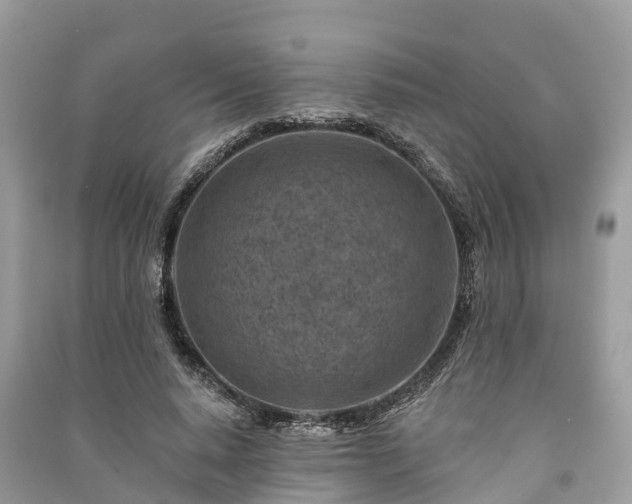 X0000091000640200708091541