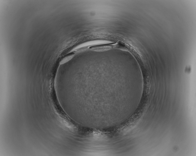 X0000091000641200708091541