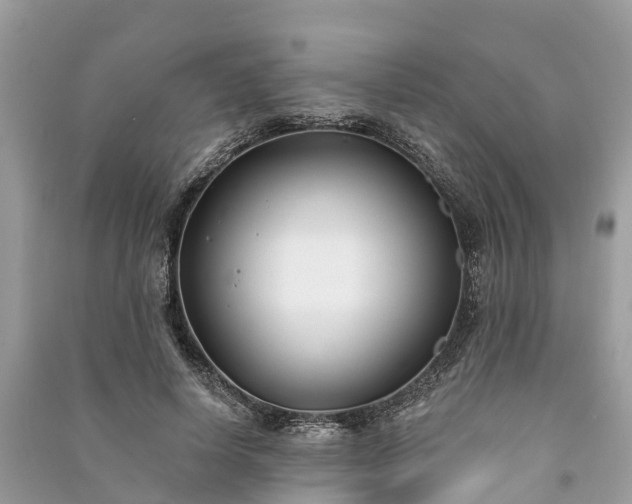 X0000091000642200708091541