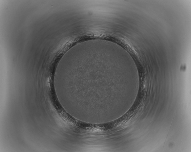 X0000091000643200708091541