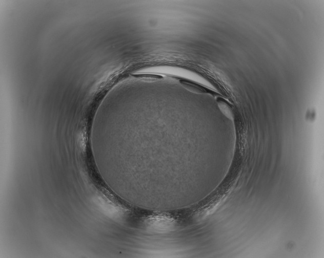 X0000091000644200708091541