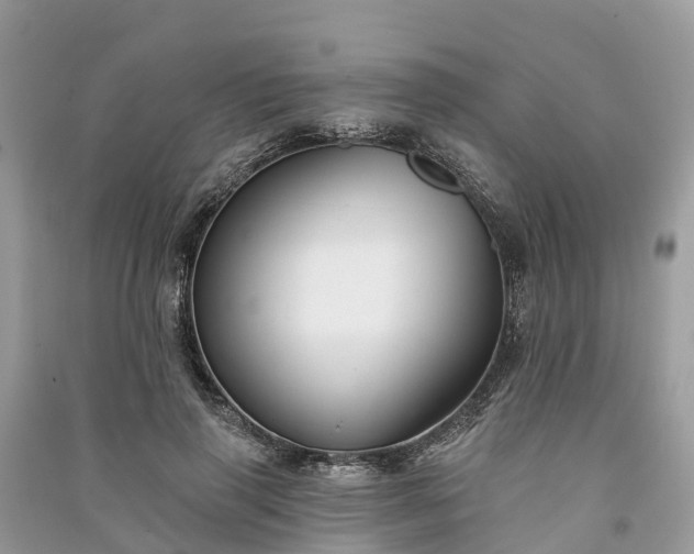X0000091000645200708091541