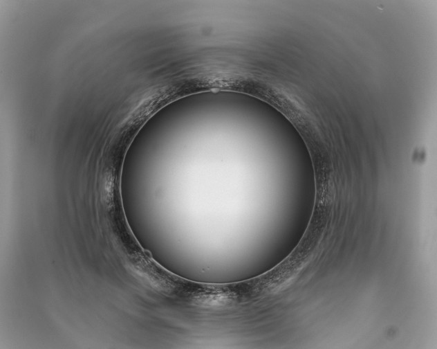 X0000091000646200708091541