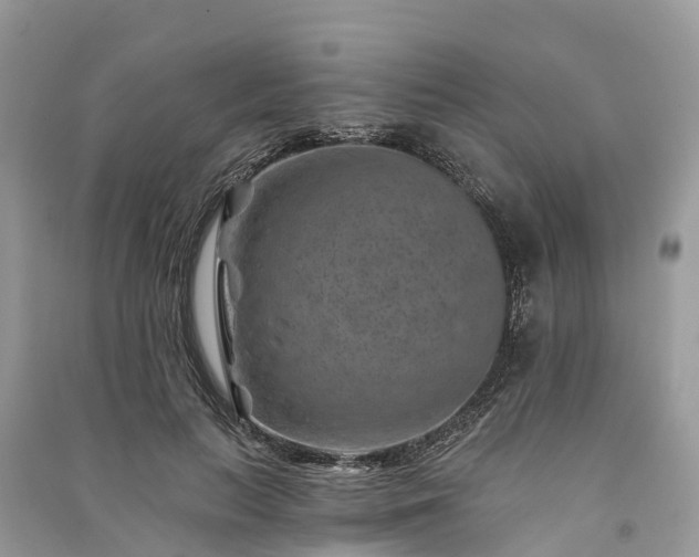 X0000091000647200708091541