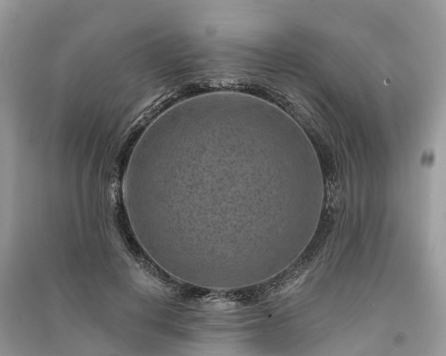 X0000091000648200708091541
