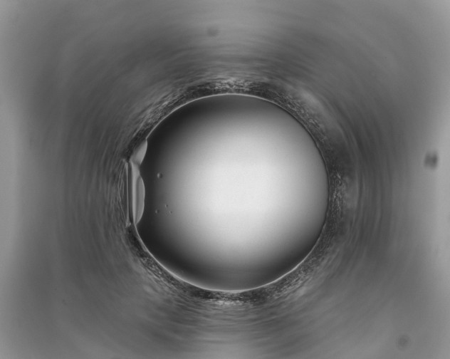 X0000091000649200708091541
