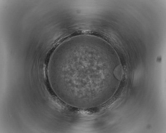 X0000091000650200708091541