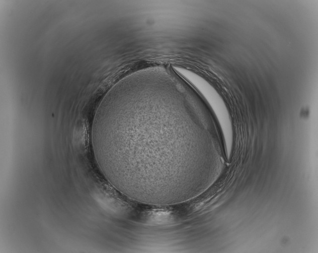 X0000091000651200708091541
