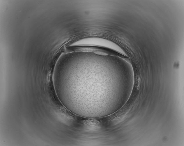 X0000091000652200708091541
