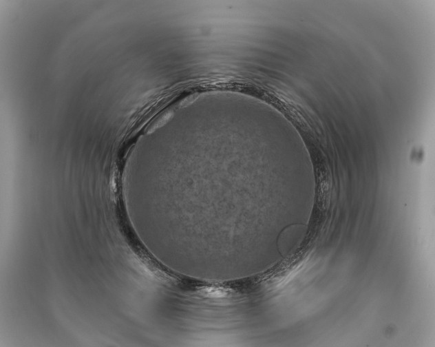 X0000091000654200708091541