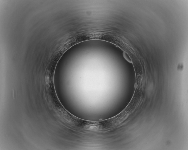 X0000091000655200708091541