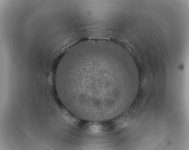 X0000091000658200708091541