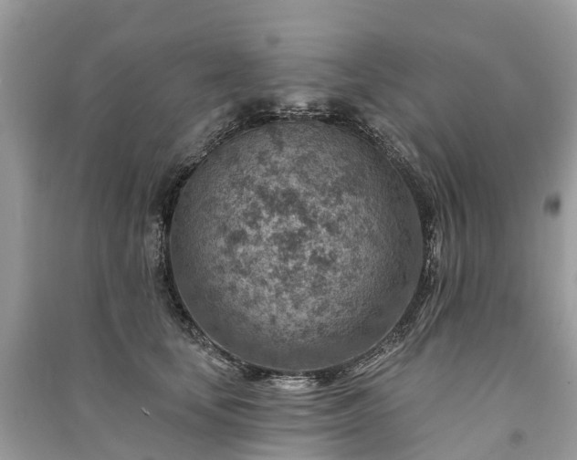 X0000091000659200708091541