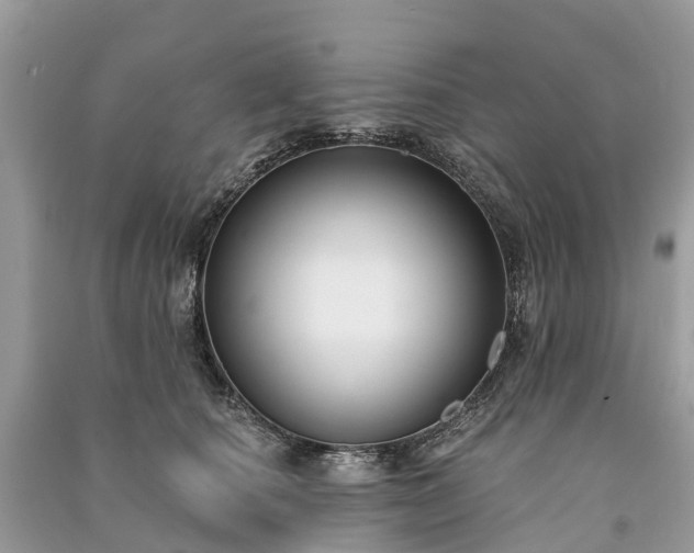 X0000091000660200708091541