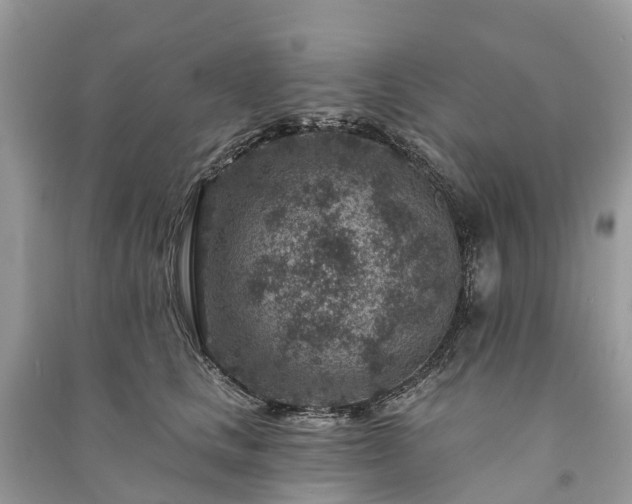X0000091000661200708091541
