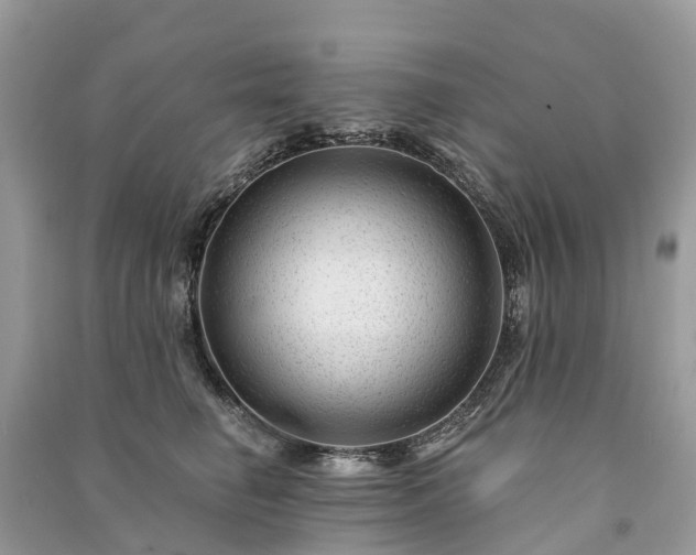 X0000091000662200708091541
