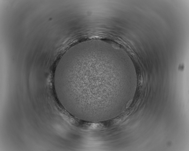 X0000091000663200708091541
