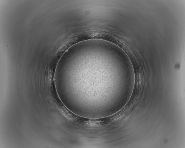 X0000091000664200708091541
