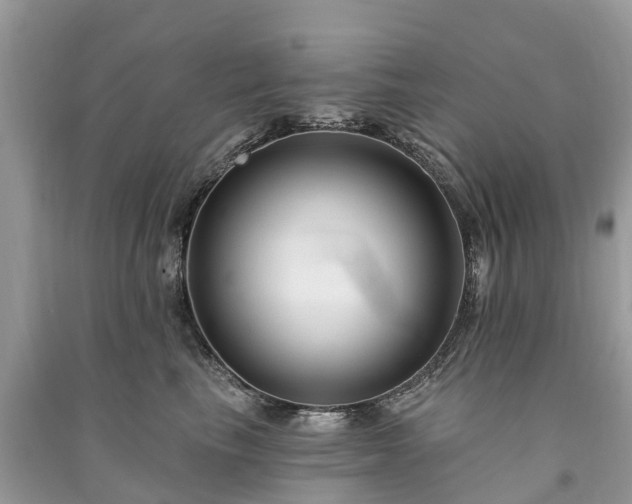 X0000091000665200708091541