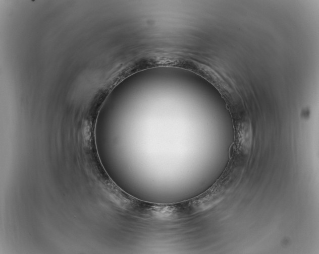 X0000091000667200708091541