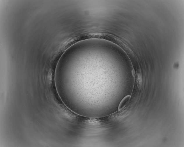 X0000091000668200708091541