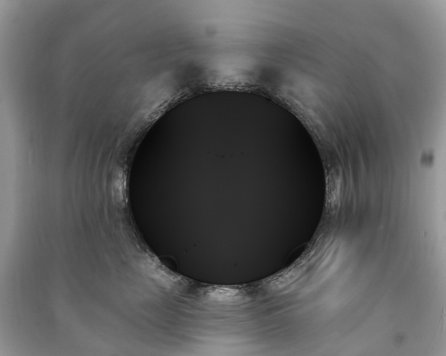 X0000091000669200708091541