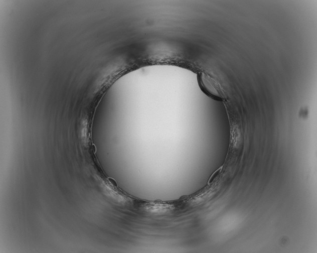 X0000091000670200708091541