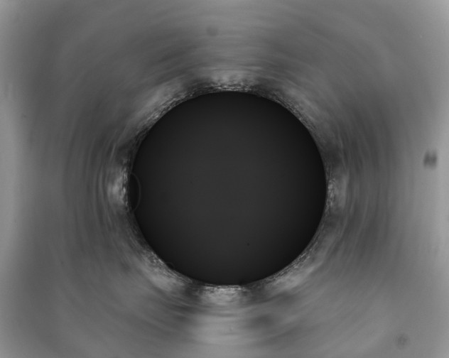 X0000091000671200708091541