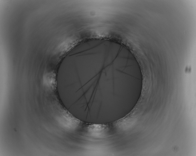 X0000091000672200708091541