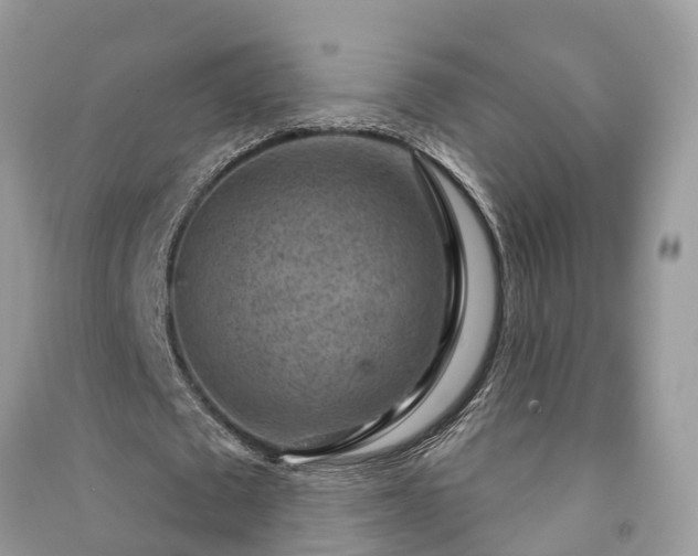 X0000091000673200708091540