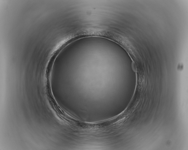 X0000091000674200708091540