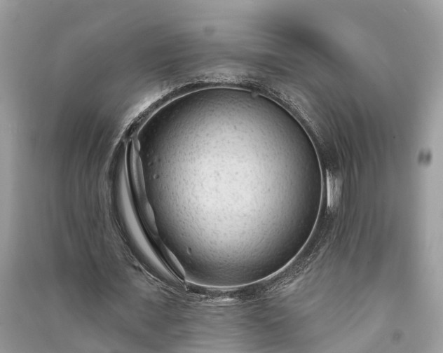 X0000091000675200708091540