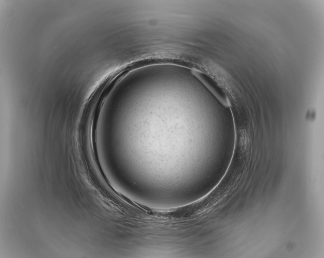 X0000091000676200708091540