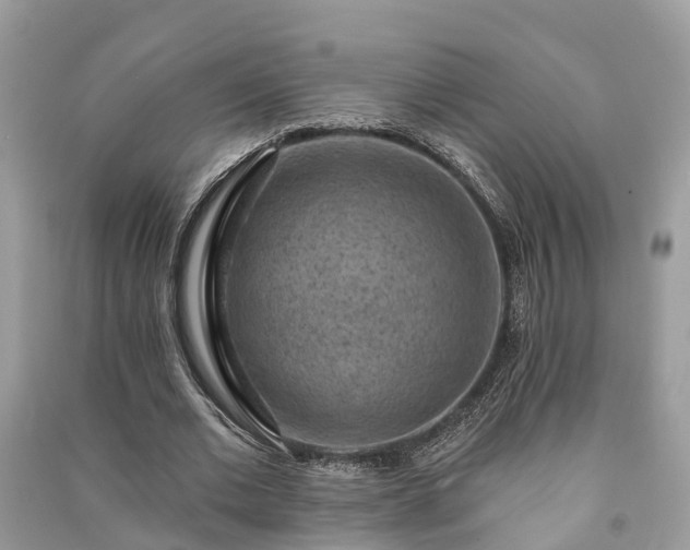 X0000091000677200708091540