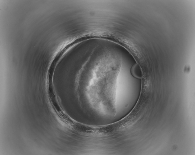 X0000091000678200708091540