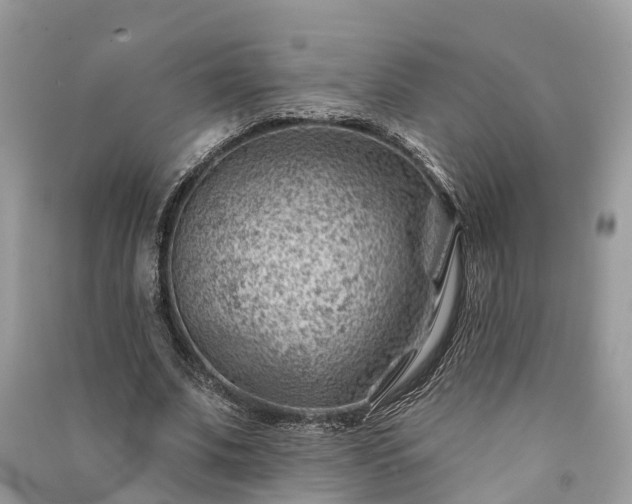 X0000091000679200708091540