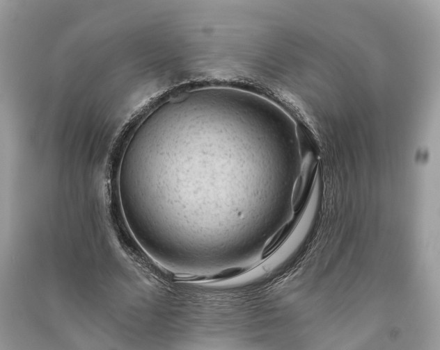X0000091000680200708091540