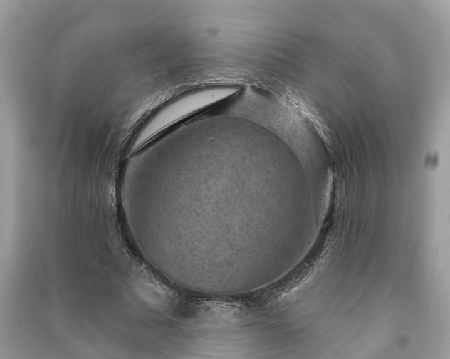 X0000091000681200708091540