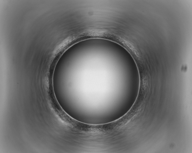 X0000091000682200708091540