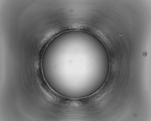 X0000091000683200708091540