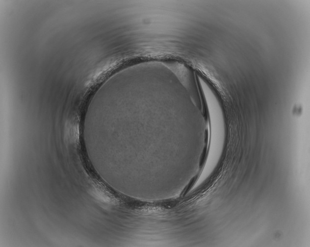 X0000091000685200708091540