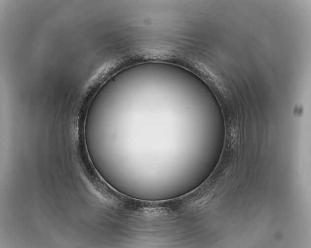 X0000091000686200708091540