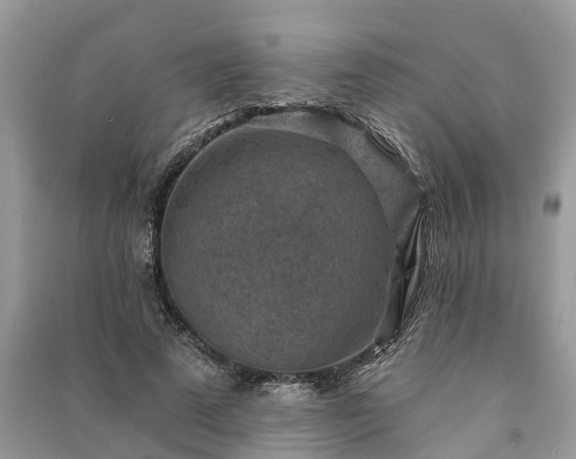 X0000091000689200708091540