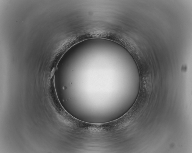 X0000091000690200708091540