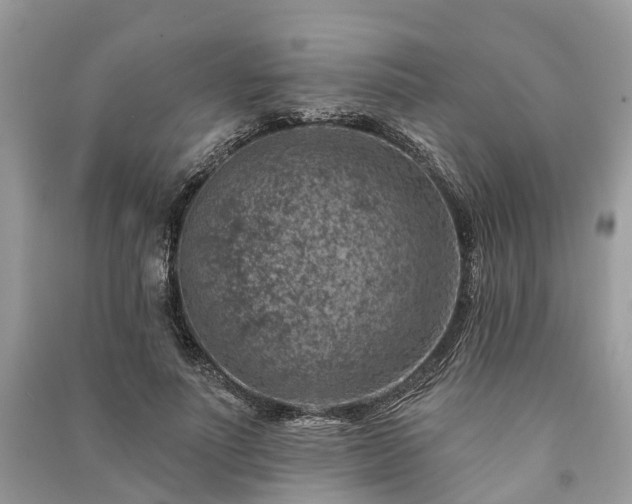 X0000091000691200708091540
