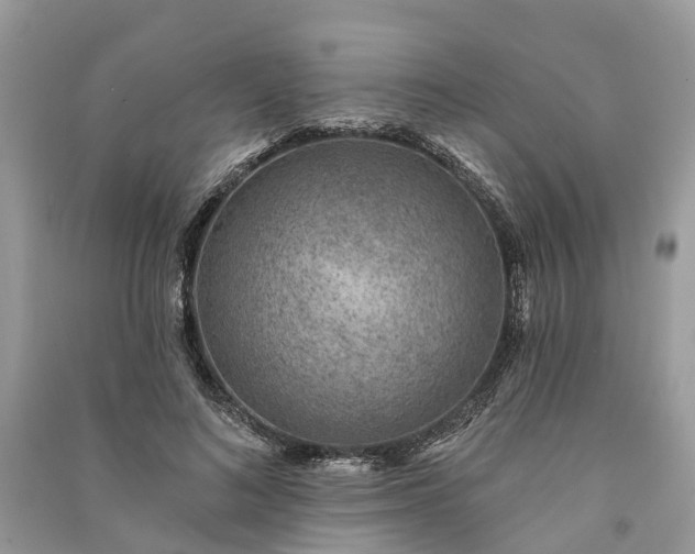 X0000091000692200708091540