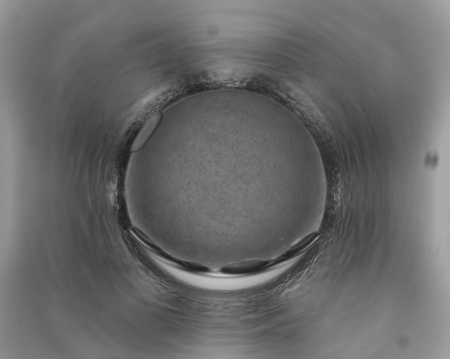 X0000091000693200708091540